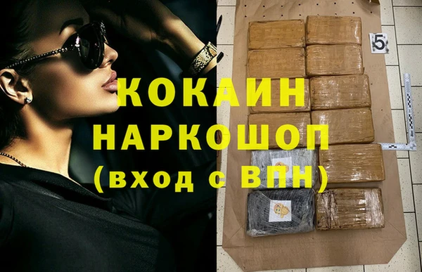 винт Алзамай