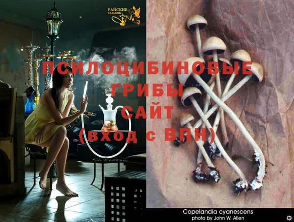стафф Алексеевка