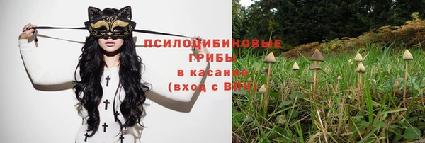 винт Алзамай