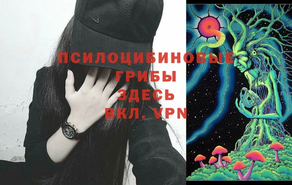 винт Алзамай