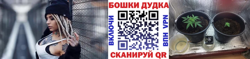 Канабис AK-47  Динская 